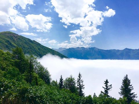 Artvin Arhavi Yayla Otelleri