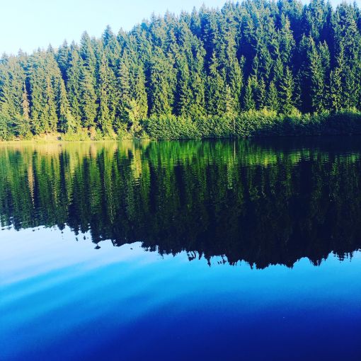 artvin karagöl artvin karagöl
