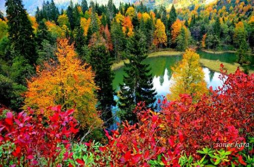 artvin borçka karagöl artvin borçka karagöl